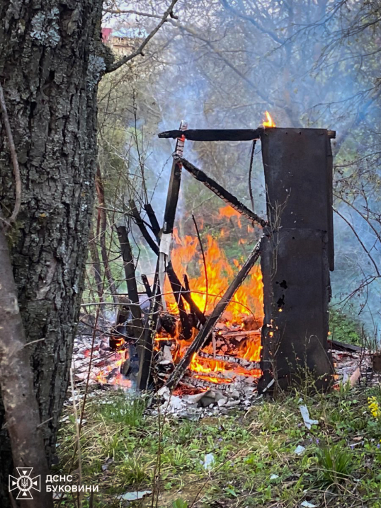 На Буковині згоріло 5 га сухої трави: людей просять не спалювати сухостій