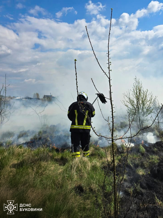 На Буковині згоріло 5 га сухої трави: людей просять не спалювати сухостій