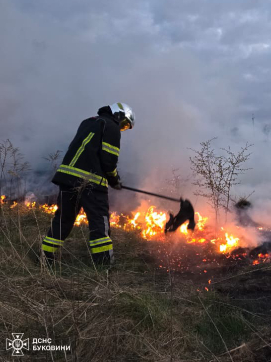 На Буковині згоріло 5 га сухої трави: людей просять не спалювати сухостій