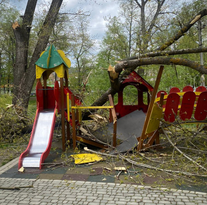 У Новоселиці дерево впало на дитячий майданчик: двоє дітей отримали важкі травми