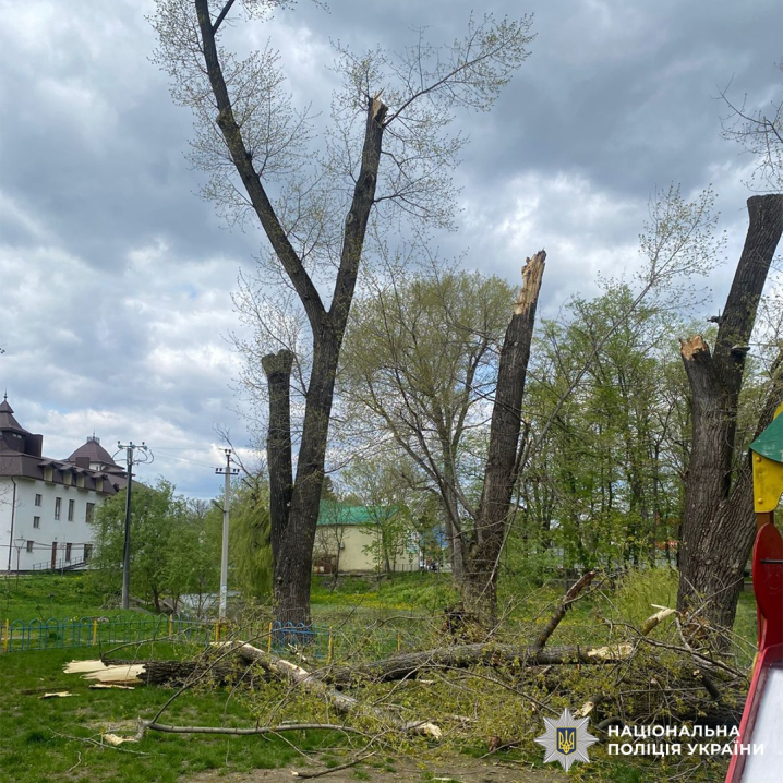 11 річна дівчинка, на яку впало дерево у Новоселиці, перебуває у стані середньої важкості