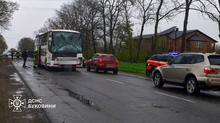 На Буковині дерево впало на екскурсійний автобус в якому їхали 19 дітей