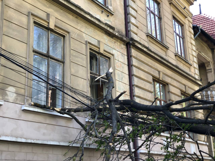 На Федьковича дерево впало на будинок і машини
