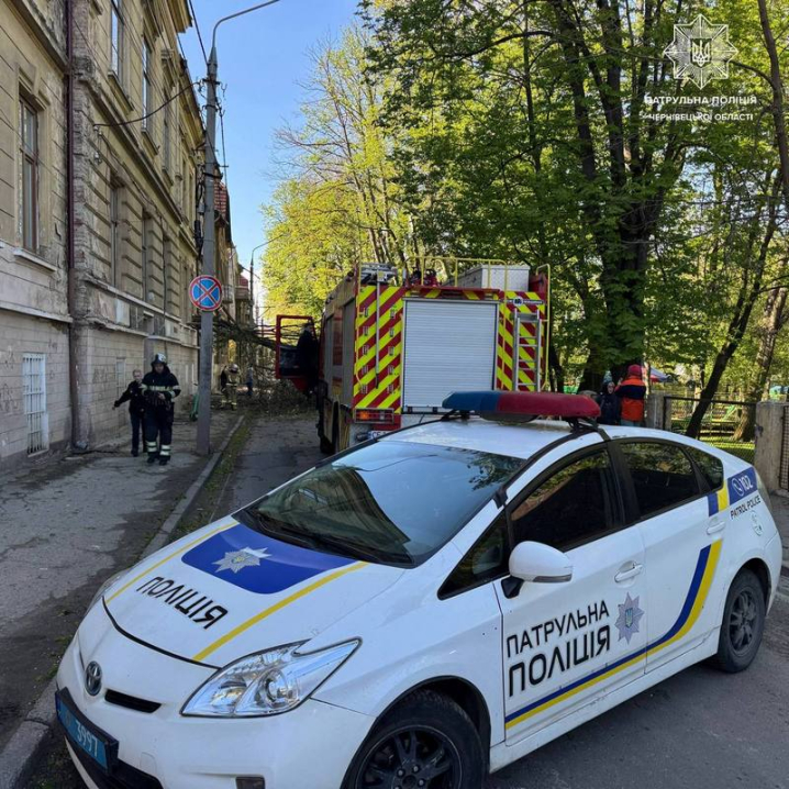 На Федьковича дерево впало на будинок і машини