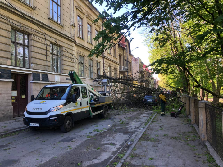 На Федьковича дерево впало на будинок і машини