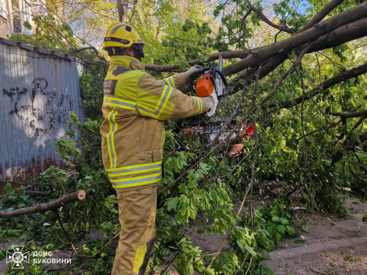 Наслідки негоди на Буковині: вітер зривав дахи та валив дерева на будинки, машини та залізничні колії