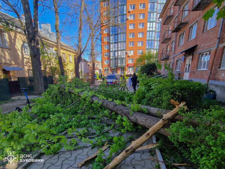 Наслідки негоди на Буковині: вітер зривав дахи та валив дерева на будинки, машини та залізничні колії