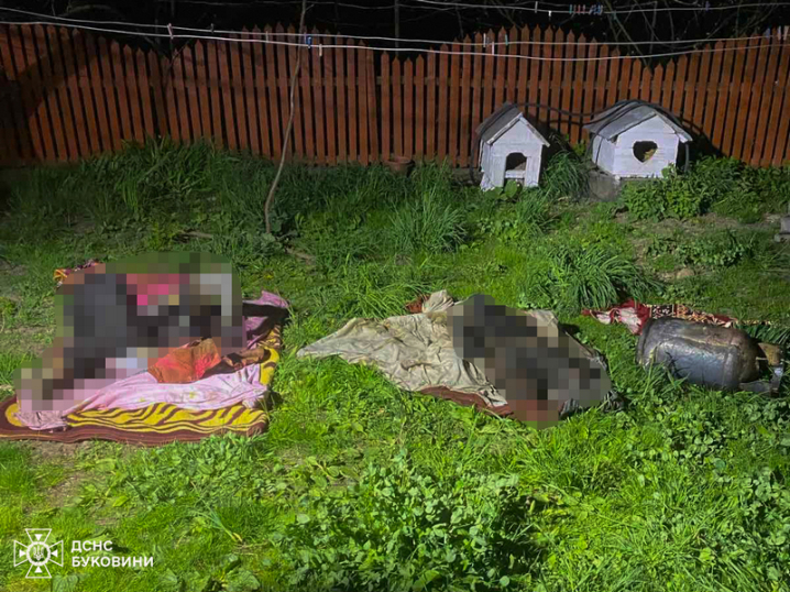 У Магалі під час пожежі в будинку загинуло двоє людей