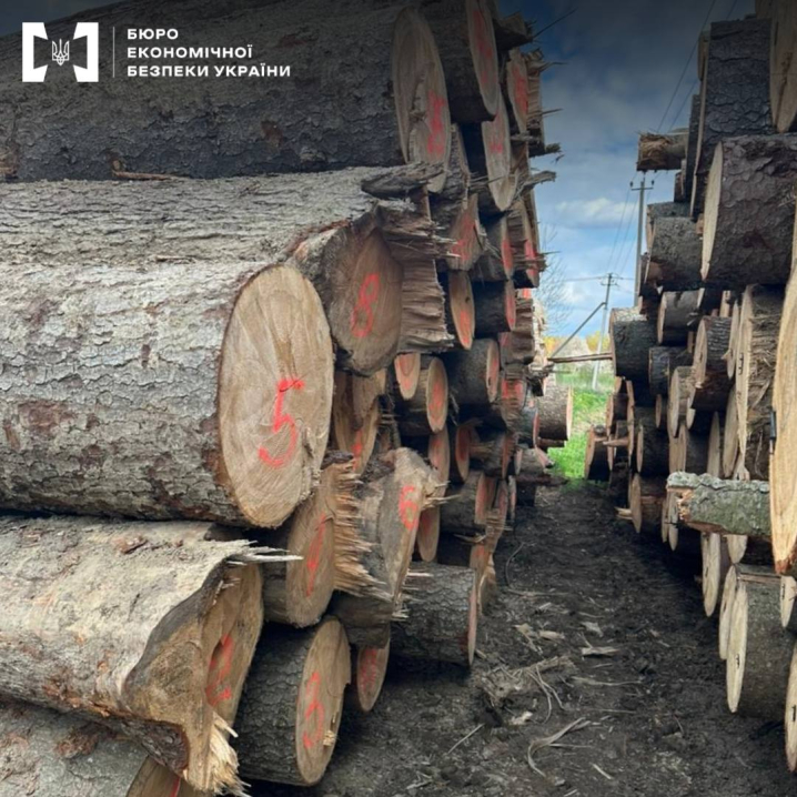 На Буковині викрили контрабанду деревини до Молдови майже на 10 млн грн