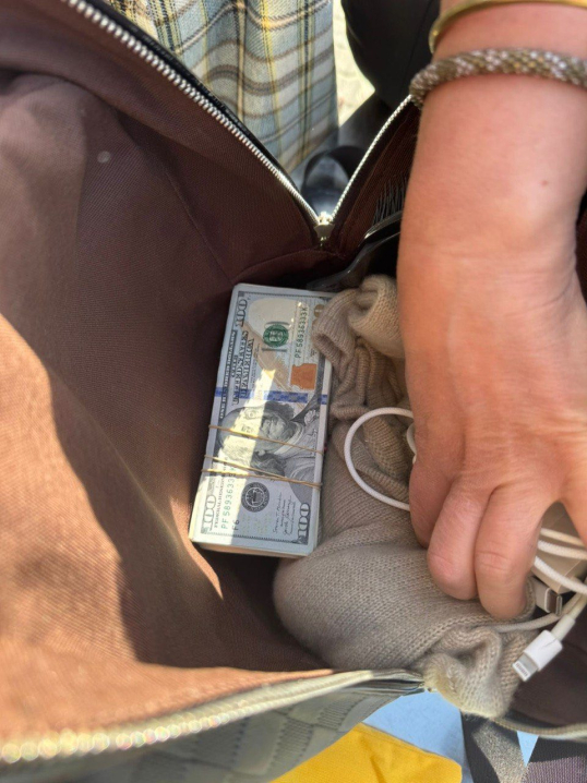 Пішки через кордон із майже 4 мільйонами: жителька Закарпаття намагалася вивезти валюту