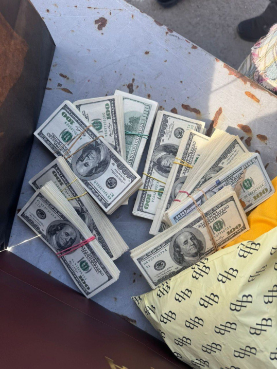 Пішки через кордон із майже 4 мільйонами: жителька Закарпаття намагалася вивезти валюту