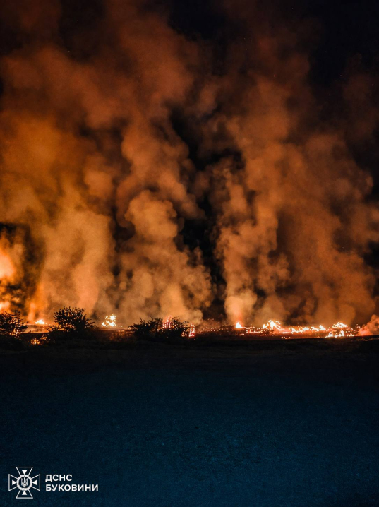 На Буковині за добу трапилося 5 пожеж: горіла суха трава та будівлі