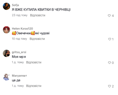 Кав’ярня з ягнятами: відео з Чернівців зібрало сотні тисяч переглядів у TikTok