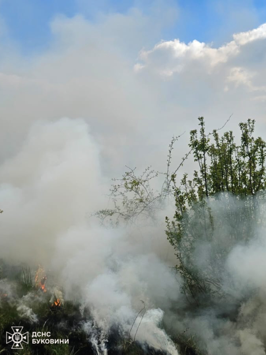Горіла суха трава та машина: на Буковині за добу трапилося 6 пожеж
