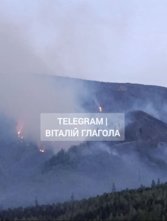 Масштабна пожежа у Карпатах: горить ліс на площі 75 гектарів