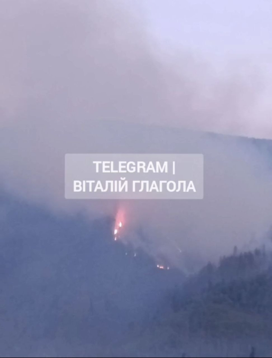 Масштабна пожежа у Карпатах: горить ліс на площі 75 гектарів