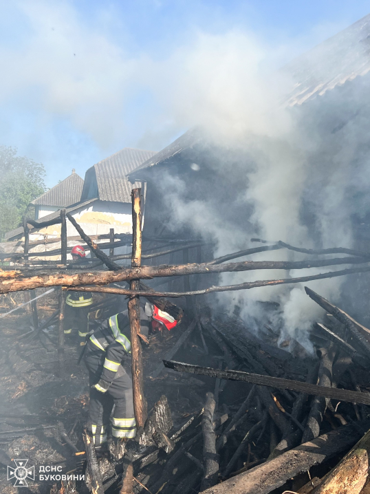 Горіли СТО, авто та будівлі: на Буковині за добу трапилося 8 пожеж Горіли СТО, авто та будівлі: на Буковині за добу трапилося 8 пожеж