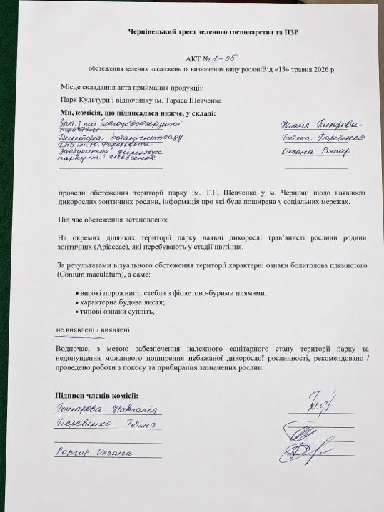 У Чернівцях перевірили парк Шевченка на наявність отруйних рослин