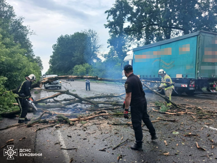 Повалені дерева та зруйнований міст: на Буковині вирувала негода Повалені дерева та зруйнований міст: на Буковині вирувала негода