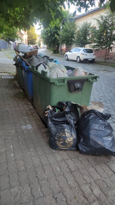 Гори сміття біля контейнерів на вулиці Шевченка: у Чернівцях невчасно вивозять відходи Гори сміття біля контейнерів на вулиці Шевченка: у Чернівцях невчасно вивозять відходи