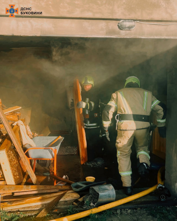 За добу на Буковині рятувальники ліквідували три пожежі та врятували кота