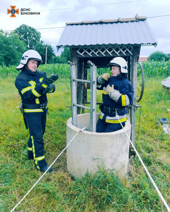 За добу на Буковині рятувальники ліквідували три пожежі та врятували кота