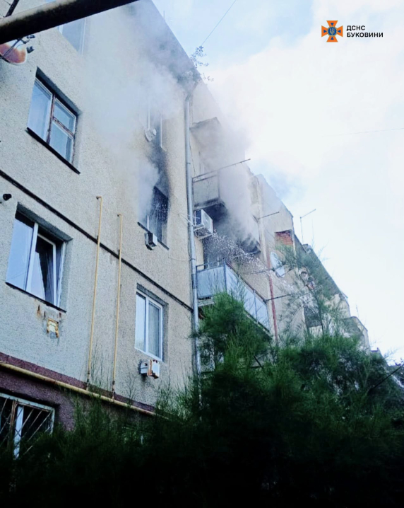 За добу на Буковині рятувальники ліквідували три пожежі та врятували кота