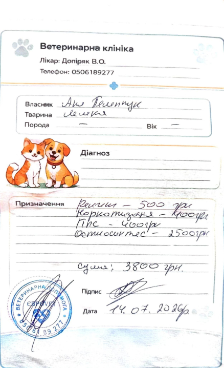 У Чернівцях знайшли лелеку з двома переломами У Чернівцях знайшли лелеку з двома переломами