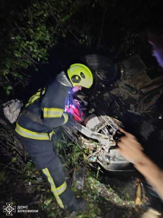 У Чернівцях з вигрібної ями врятували собаку, а у Вижниці вилучили плазуна У Чернівцях з вигрібної ями врятували собаку, а у Вижниці вилучили плазуна