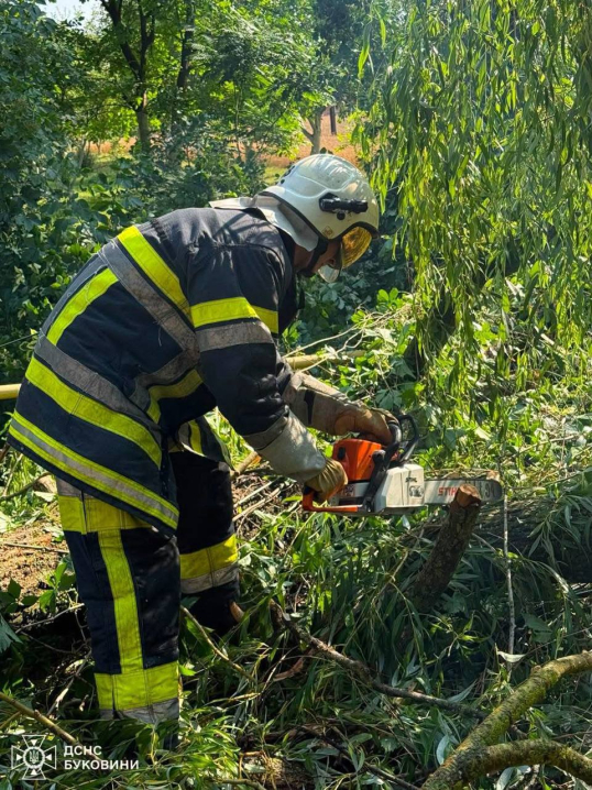 У Чернівцях з вигрібної ями врятували собаку, а у Вижниці вилучили плазуна У Чернівцях з вигрібної ями врятували собаку, а у Вижниці вилучили плазуна