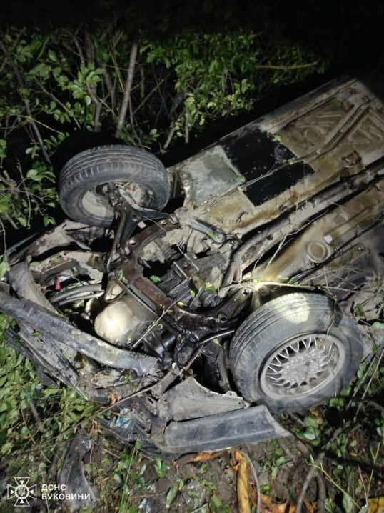 У Чернівцях з вигрібної ями врятували собаку, а у Вижниці вилучили плазуна У Чернівцях з вигрібної ями врятували собаку, а у Вижниці вилучили плазуна