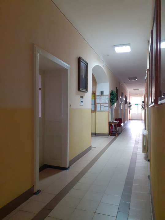 У Чернівцях повторно виставили в оренду приміщення БДМУ