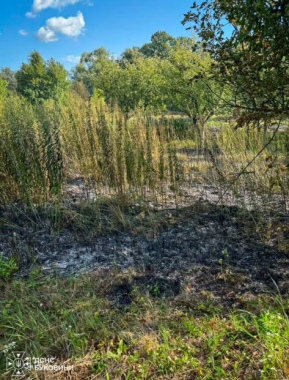 Минулої доби на Буковині згоріло кілька гектарів стерні та сухої трави