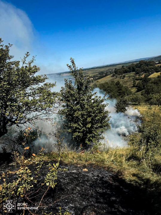 На Буковині за добу вигоріло понад 9 гектарів сухої трави та чагарників На Буковині за добу вигоріло понад 9 гектарів сухої трави та чагарників