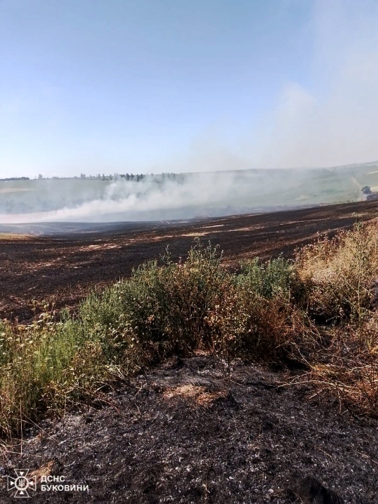 На Буковині за добу вигоріло понад 9 гектарів сухої трави та чагарників На Буковині за добу вигоріло понад 9 гектарів сухої трави та чагарників