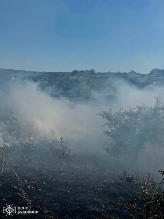 На Буковині за добу вигоріло понад 9 гектарів сухої трави та чагарників На Буковині за добу вигоріло понад 9 гектарів сухої трави та чагарників