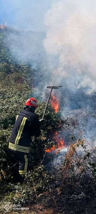 На Буковині за добу вигоріло понад 9 гектарів сухої трави та чагарників На Буковині за добу вигоріло понад 9 гектарів сухої трави та чагарників