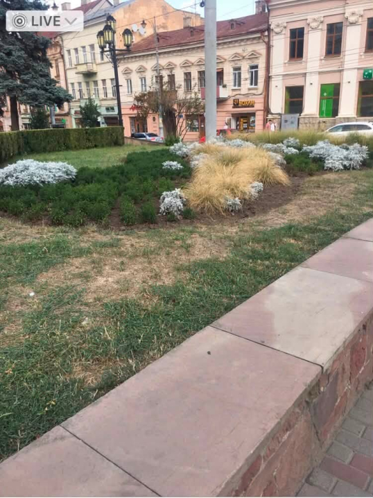 Трава і квіти засохли: чернівчани розкритикували благоустрій Центральної площі