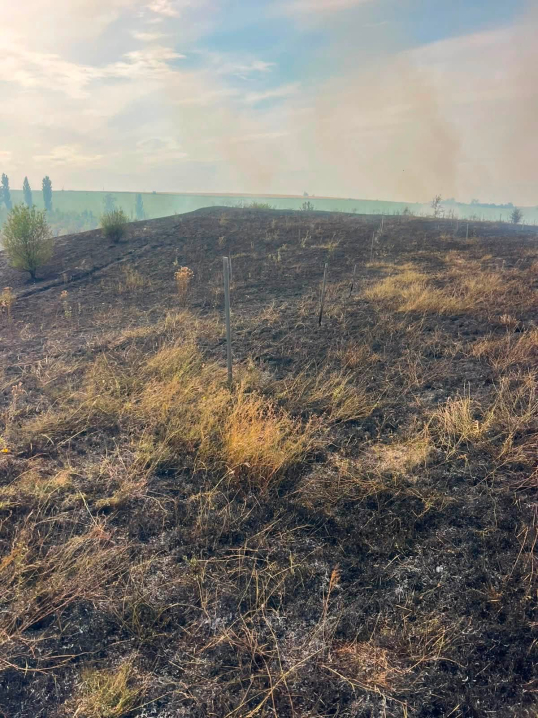 У Кадубовецькій громаді згоріли дуби, які висадили на честь полеглих військових