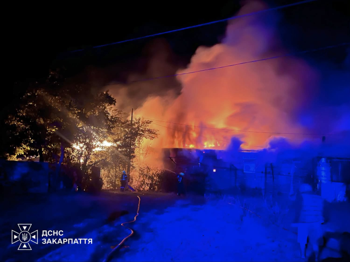 Дві туристки з Буковини згоріли заживо під час пожежі на базі відпочинку в Солотвино