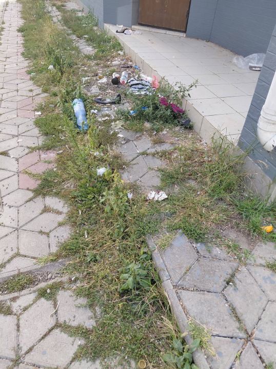 У Чернівцях містянка показала занедбаний дитячий майданчик біля Бульвару Героїв Крут