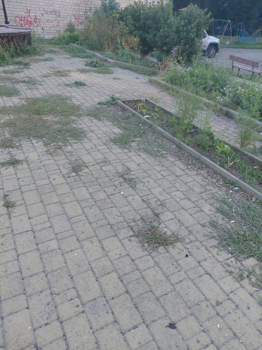 У Чернівцях містянка показала занедбаний дитячий майданчик біля Бульвару Героїв Крут
