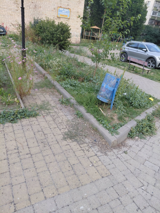 У Чернівцях містянка показала занедбаний дитячий майданчик біля Бульвару Героїв Крут