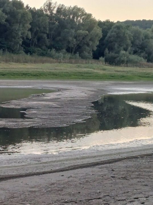 Через мілководдя Дністра знову оголилася стара дорога до затопленої Бакоти