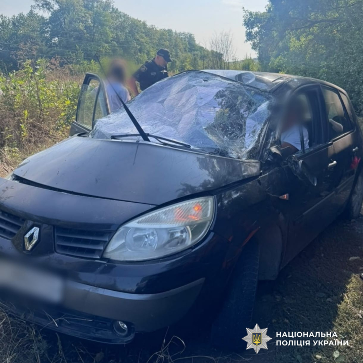 На Буковині Renault з’їхав у кювет та перекинувся: постраждав пасажир На Буковині Renault з’їхав у кювет та перекинувся: постраждав пасажир
