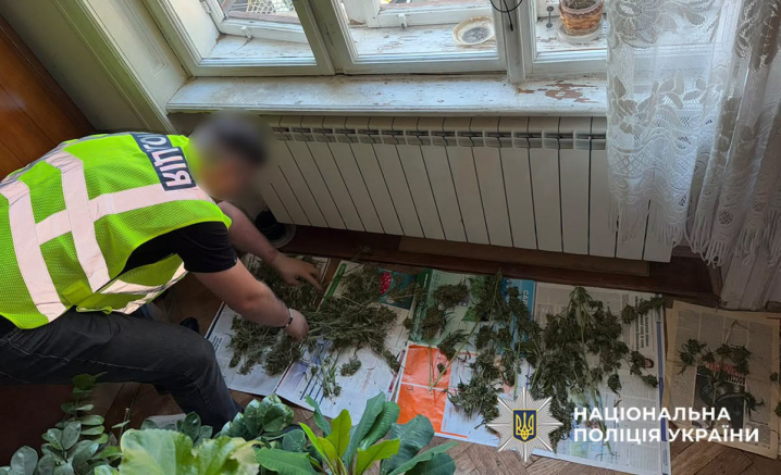 Понад 200 кущів коноплі та 2,5 кг канабісу: на Буковині викрили дев’ятьох підозрюваних Понад 200 кущів коноплі та 2,5 кг канабісу: на Буковині викрили дев’ятьох підозрюваних