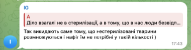 У Садгорі помітили велику зграю безпритульних собак