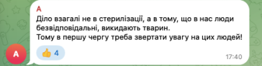 У Садгорі помітили велику зграю безпритульних собак