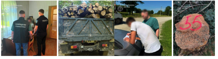 Понад 4 тисячі кубометрів деревини продавали як дрова: на Буковині шістьом повідомили про підозру Понад 4 тисячі кубометрів деревини продавали як дрова: на Буковині шістьом повідомили про підозру