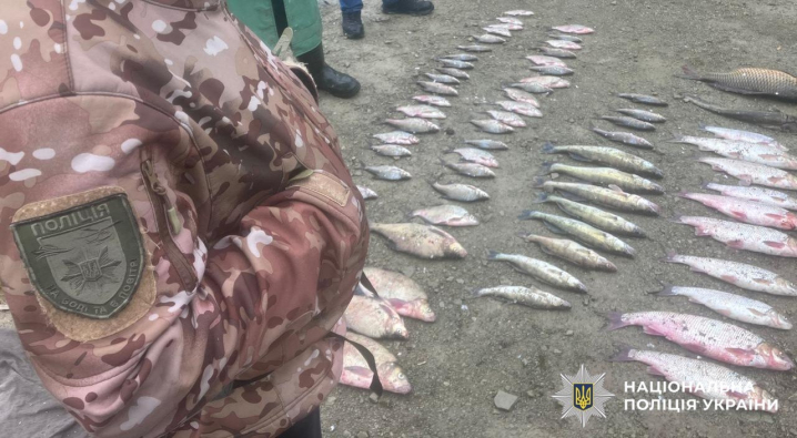 Наловили риби на 215 тис. грн: на Буковині судитимуть трьох порушників Наловили риби на 215 тис. грн: на Буковині судитимуть трьох порушників